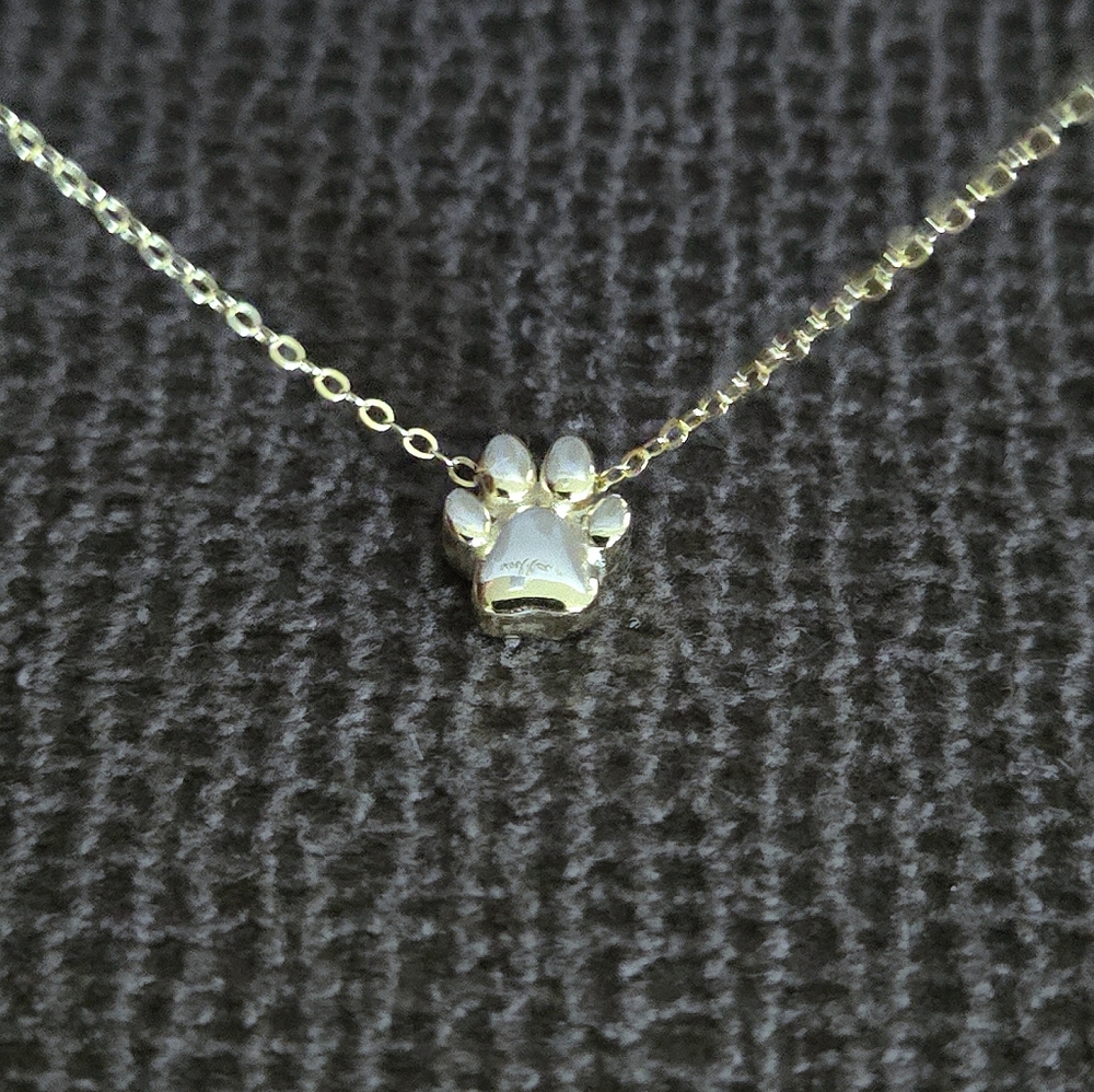 Isabella M. Dainty Gold💛 Paw🐾 Pendant Necklace - NIB - Picture 4 of 15